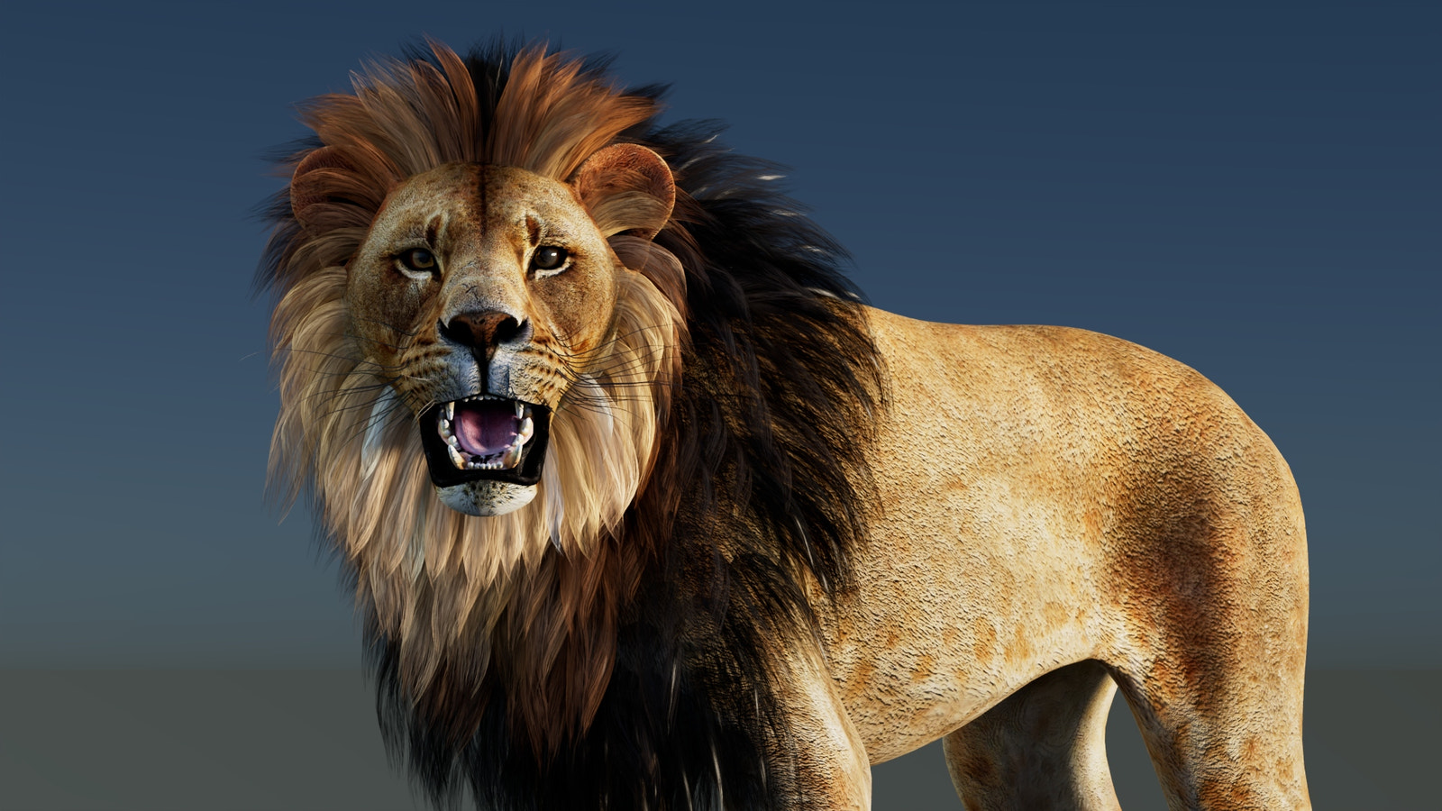 Rigged Lion 3D Model