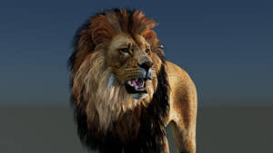 Rigged Lion 3D Model Thumbnail