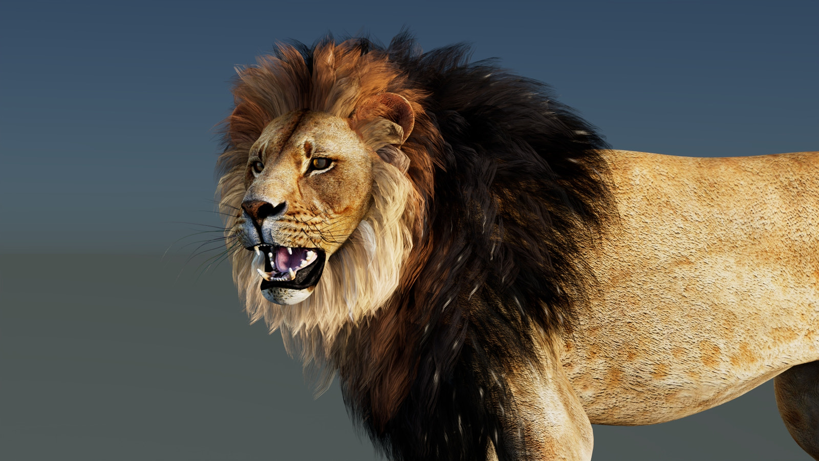 Rigged Lion 3D Model