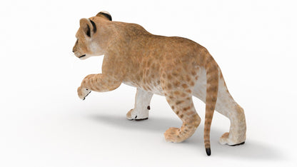 Rigged Lion Cub 3D Model