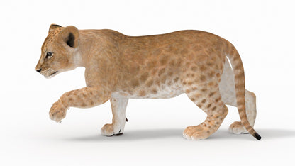 Rigged Lion Cub 3D Model