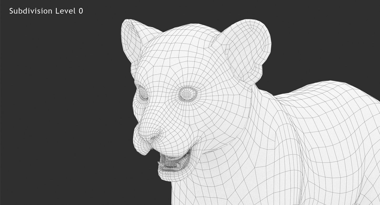 Rigged Lion Cub 3D Model