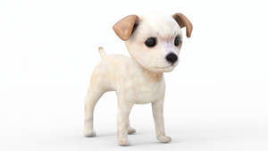 Maltipoo Dog Puppy 3D Model Body Textured Thumbnail