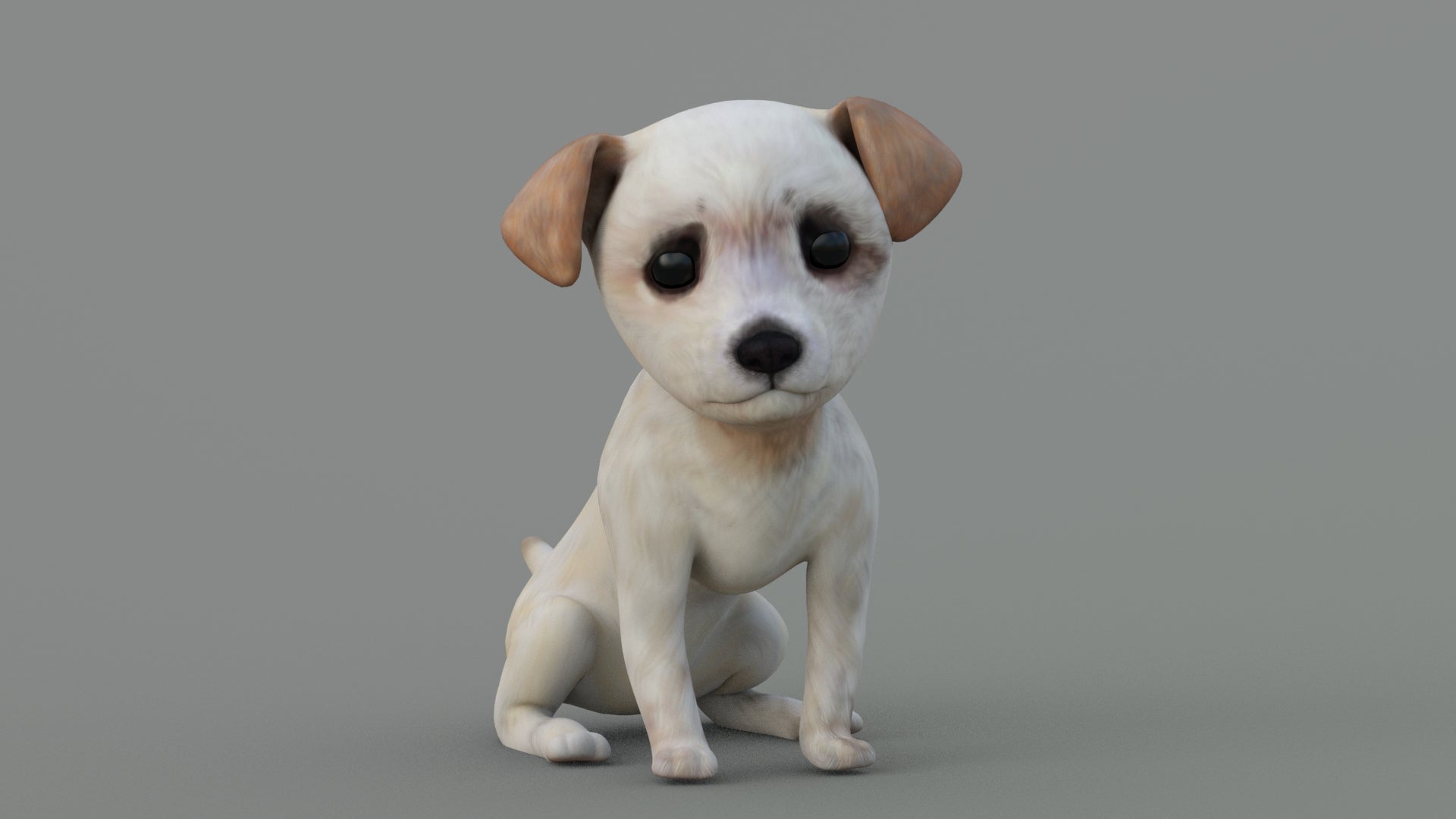 Maltipoo Dog Puppy 3D Model Sitting