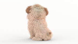 Maltipoo Dog Puppy Polygonal Fur 3D Model Thumbnail