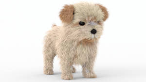 Maltipoo Dog Puppy Polygonal Fur 3D Model Thumbnail