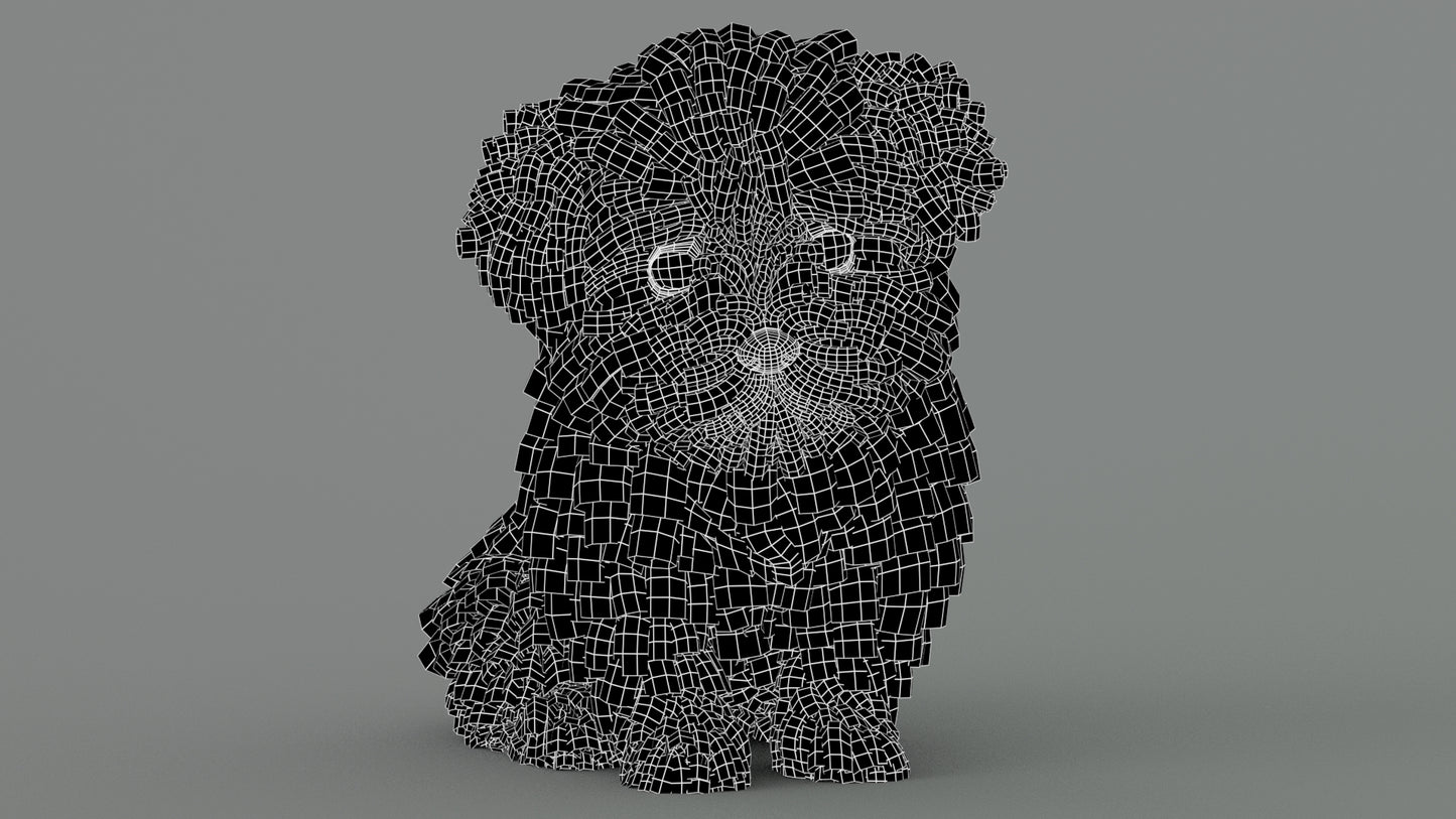 Maltipoo Dog Puppy Polygonal Fur 3D Model Wireframe View Sibdivision Level 0