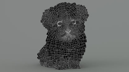 Maltipoo Dog Puppy Polygonal Fur 3D Model Wireframe View Sibdivision Level 0