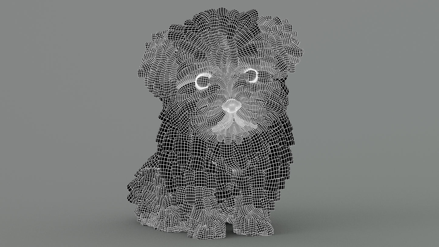 Maltipoo Dog Puppy Polygonal Fur 3D Model Wireframe View Sibdivision Level 1
