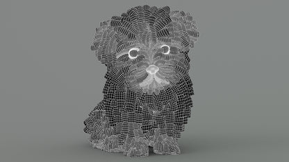 Maltipoo Dog Puppy Polygonal Fur 3D Model Wireframe View Sibdivision Level 1
