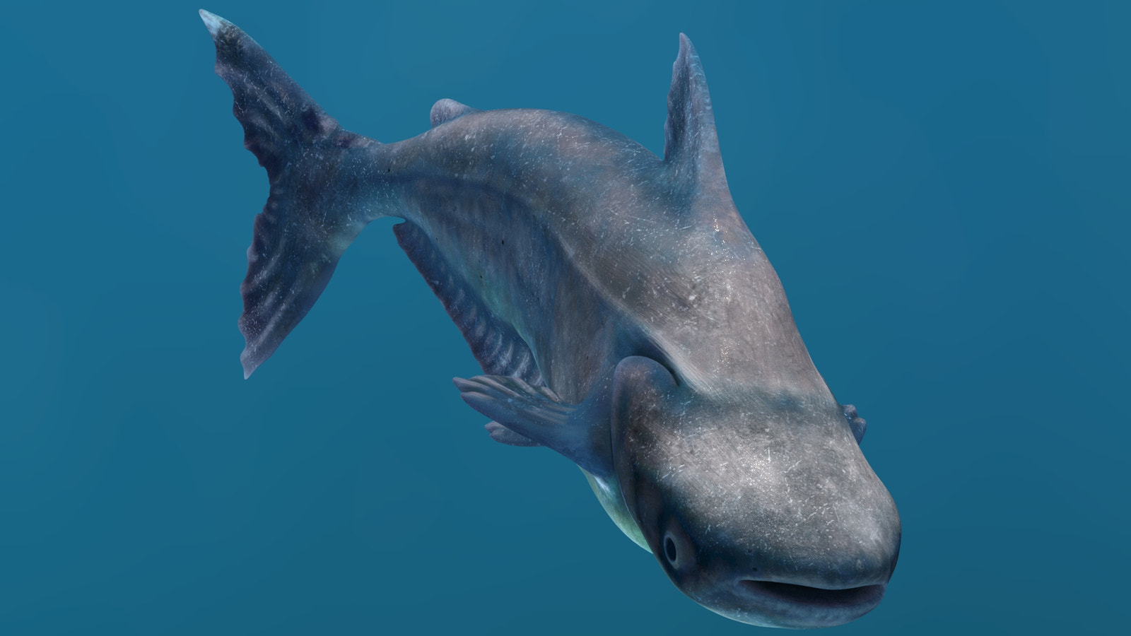 Rigged Mekong Giant Catfish 3D Model