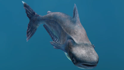 Rigged Mekong Giant Catfish 3D Model