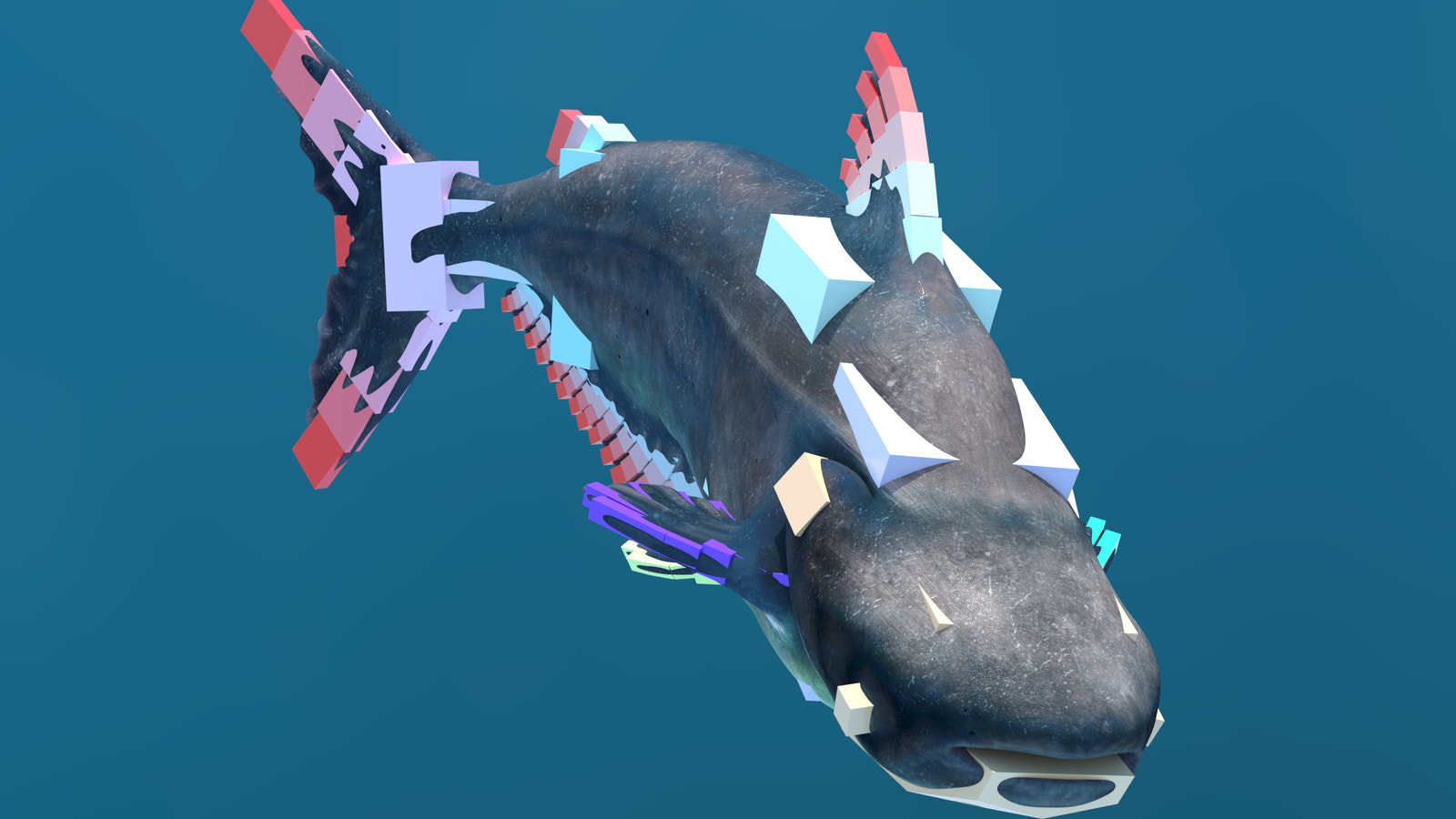 Mekong Giant Catfish 3D Model with Rigging