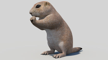 Animated Prairie Dog 3D Model