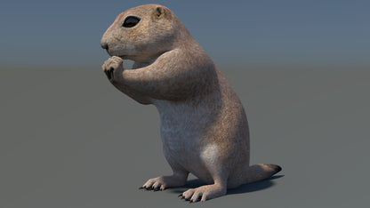 Animated Prairie Dog 3D Model