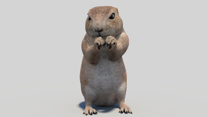Rigged Prairie Dog 3D Model Thumbnail