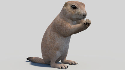 Animated Prairie Dog 3D Model
