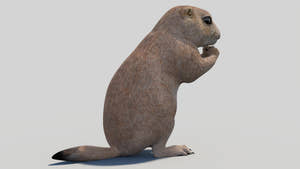 Rigged Prairie Dog 3D Model Thumbnail