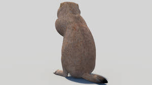 Rigged Prairie Dog 3D Model Thumbnail