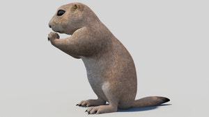 Animated Prairie Dog 3D Model Thumbnail