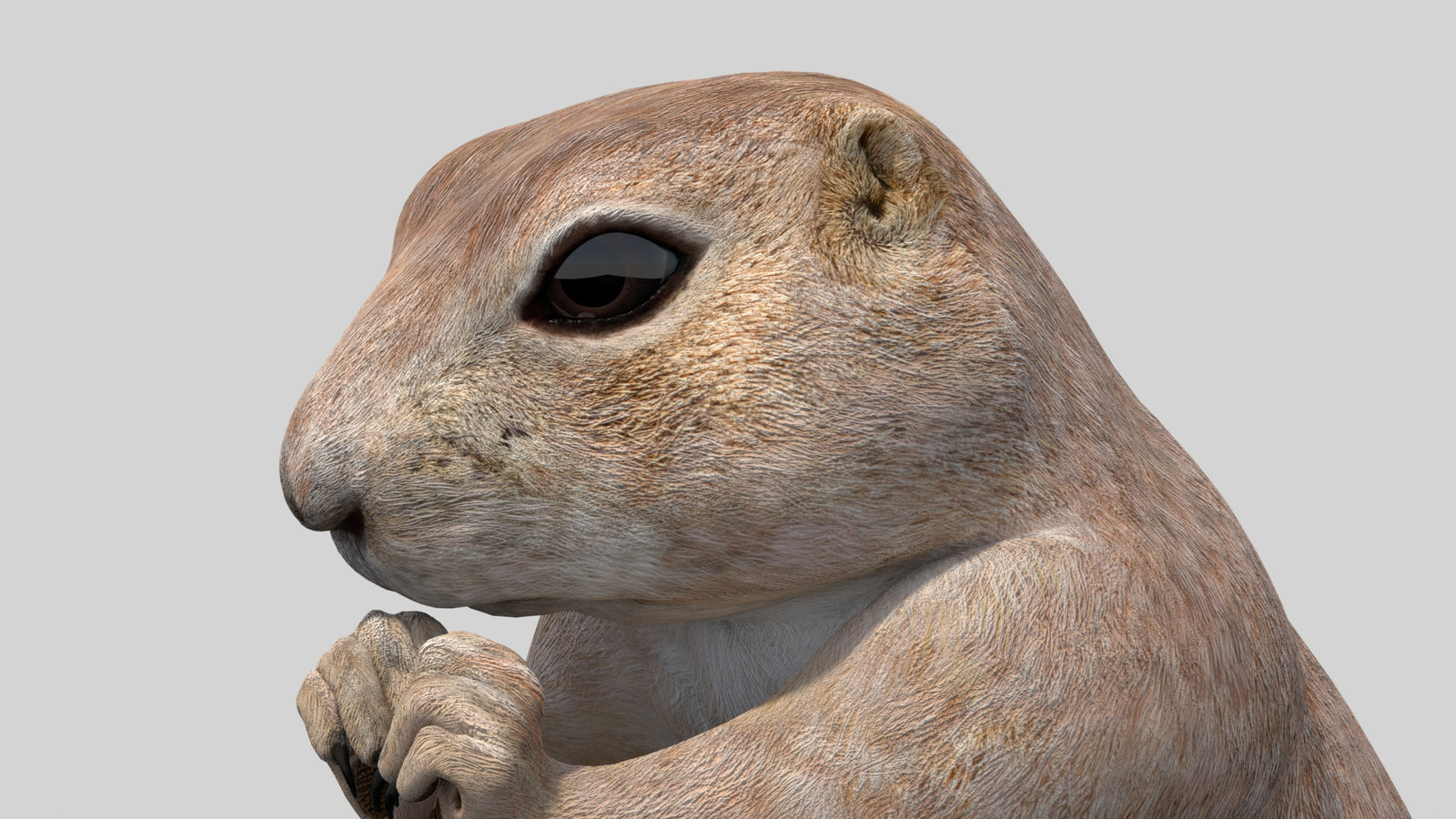 Animated Prairie Dog 3D Model