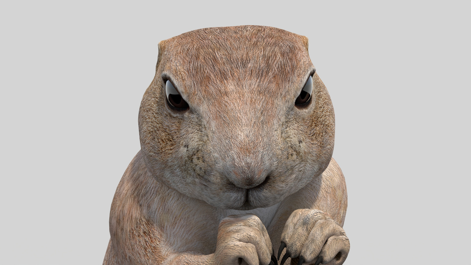 Rigged Prairie Dog 3D Model