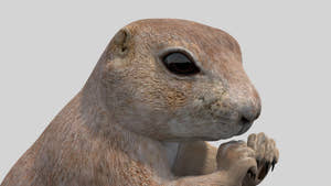 Animated Prairie Dog 3D Model Thumbnail