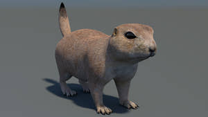 Animated Prairie Dog 3D Model Thumbnail