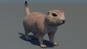 애니메이션 프레리도그 3D 모델 Thumbnail