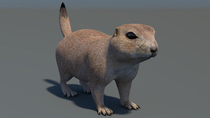 Animated Prairie Dog 3D Model
