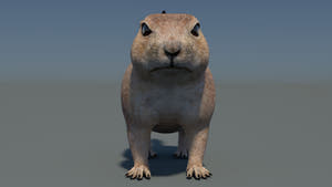 Rigged Prairie Dog 3D Model Thumbnail