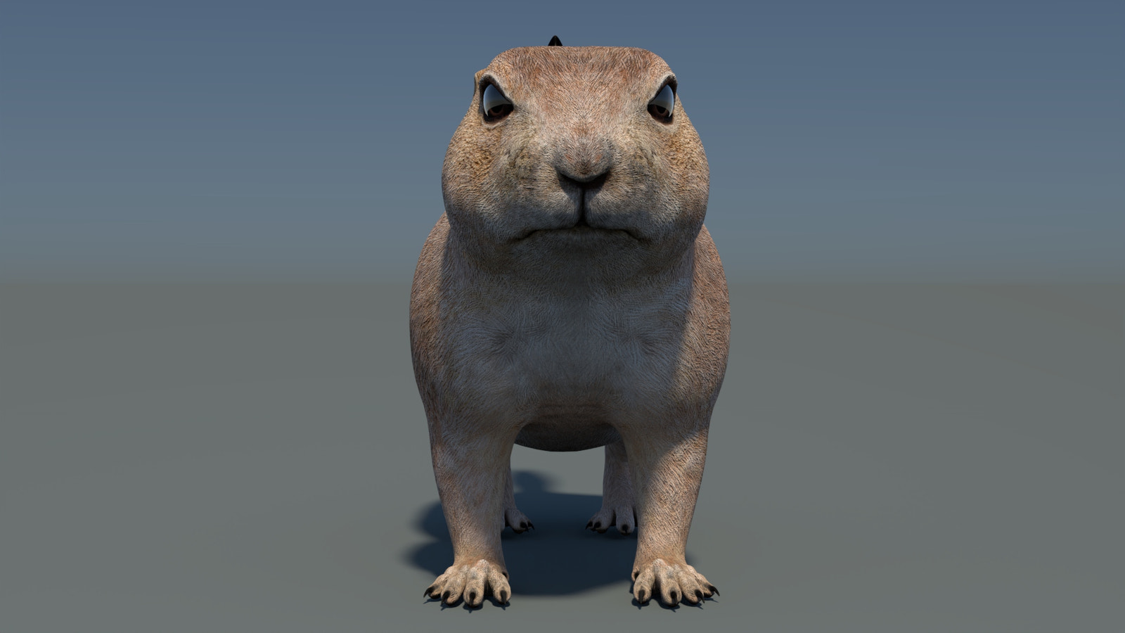 Rigged Prairie Dog 3D Model