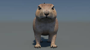 Animated Prairie Dog 3D Model Thumbnail