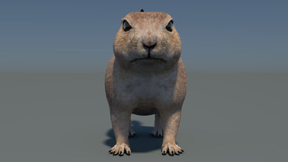 Animated Prairie Dog 3D Model