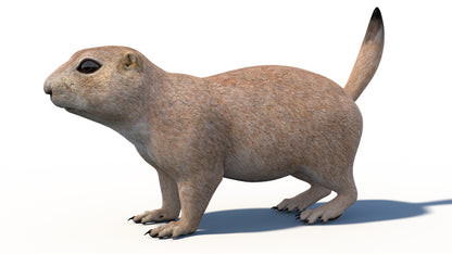 Animated Prairie Dog 3D Model