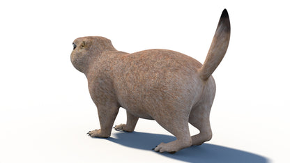Animated Prairie Dog 3D Model