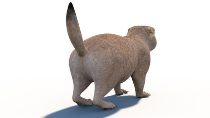 Animated Prairie Dog 3D Model