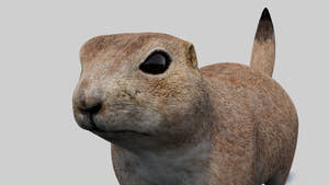 Rigged Prairie Dog 3D Model Thumbnail
