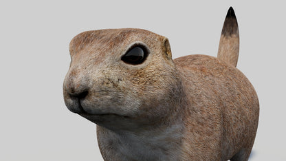 Animated Prairie Dog 3D Model