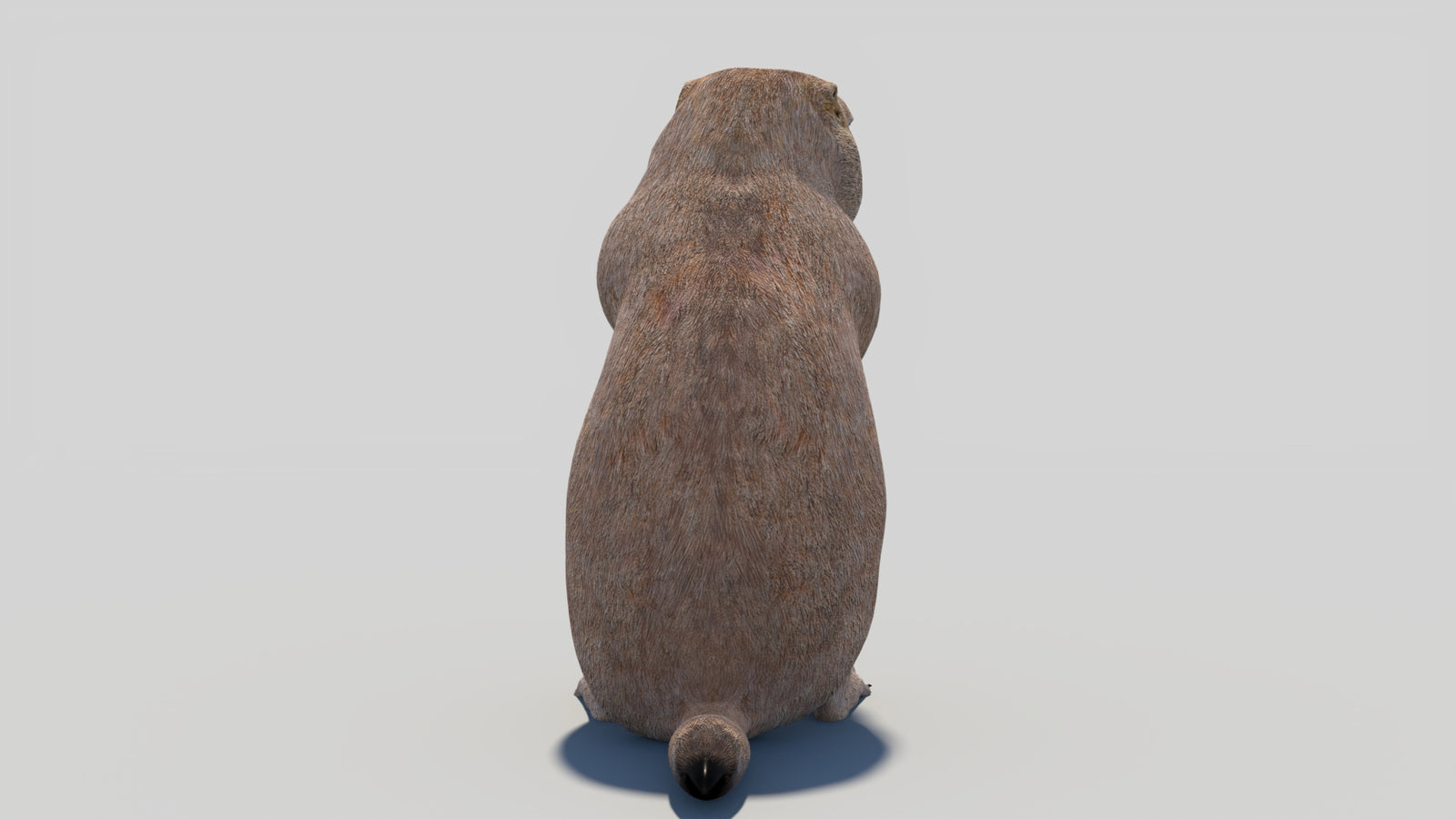 Animated Prairie Dog 3D Model 360° view 2 frame 21