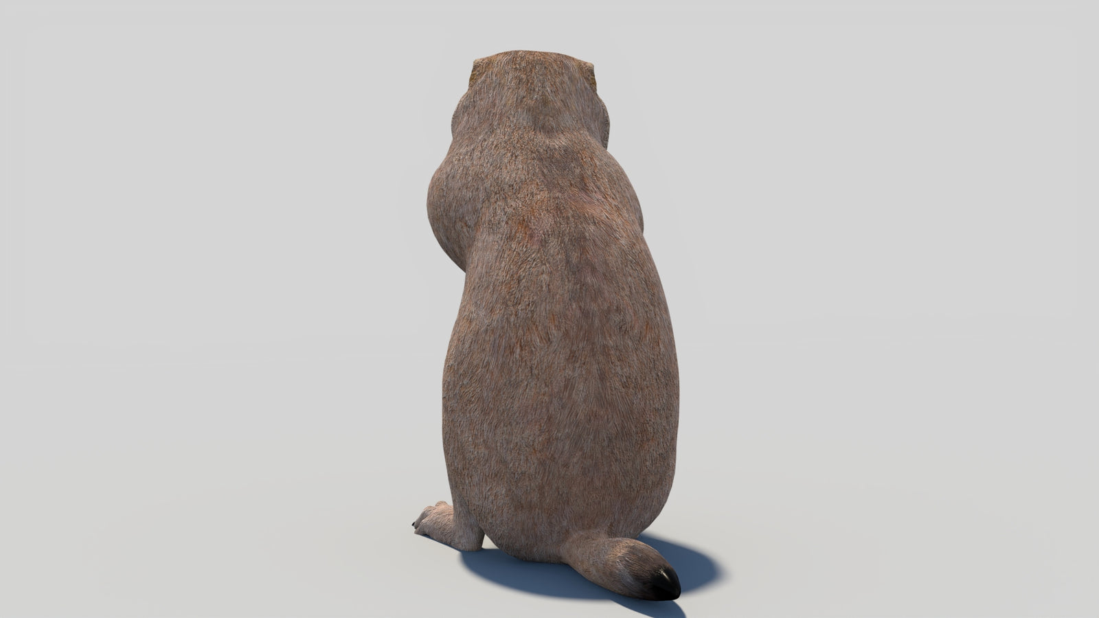 Animated Prairie Dog 3D Model 360° view 2 frame 23
