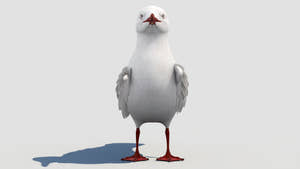 Rigged Seagull 3D Model Thumbnail