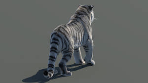 Rigged Siberian White Tiger 3D Model Thumbnail