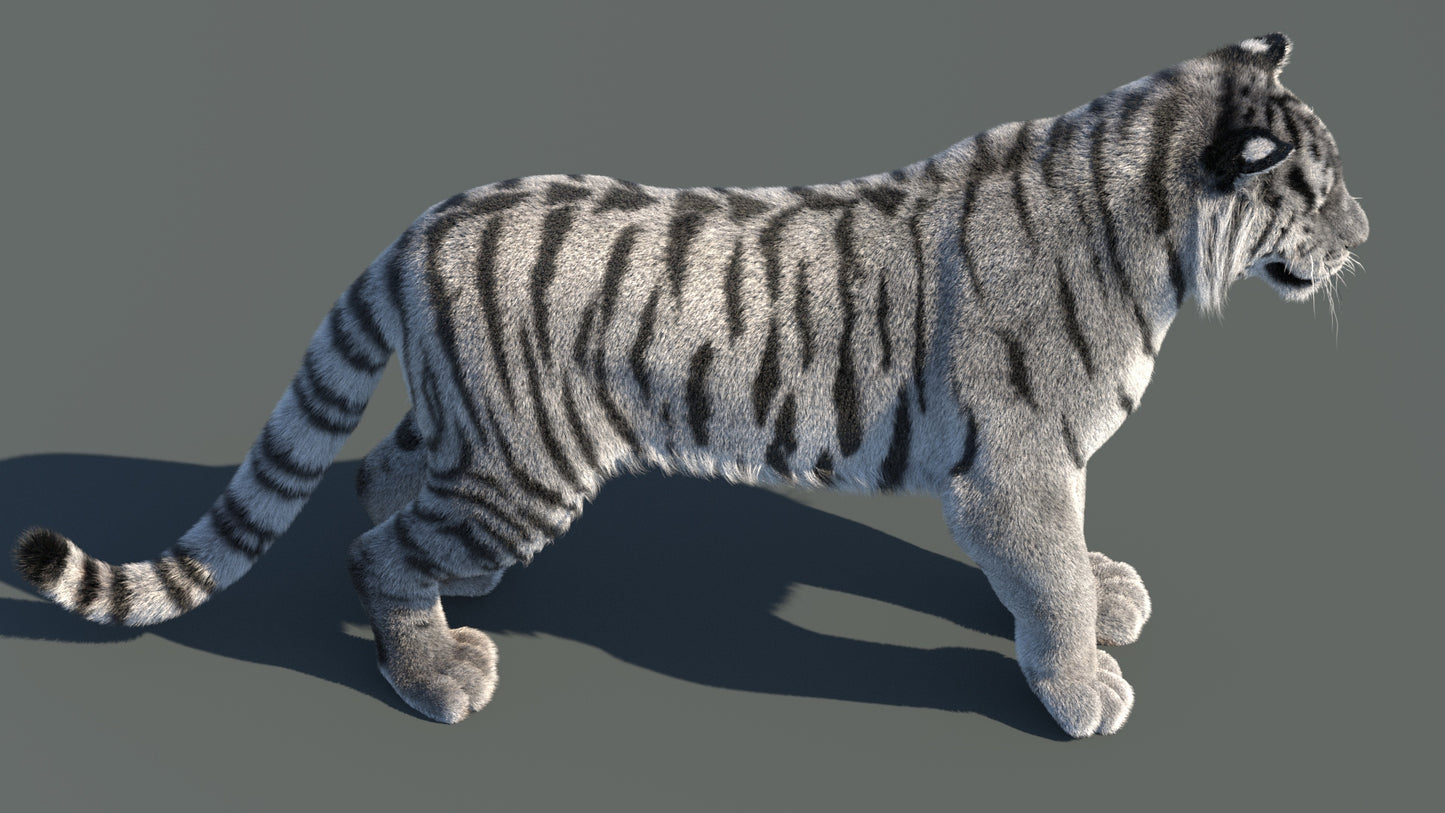 Rigged Siberian White Tiger 3D Model