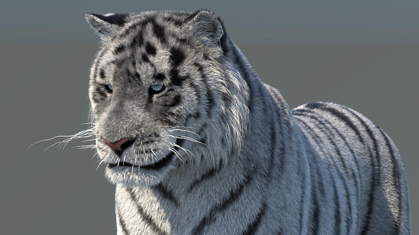 Rigged Siberian White Tiger 3D Model