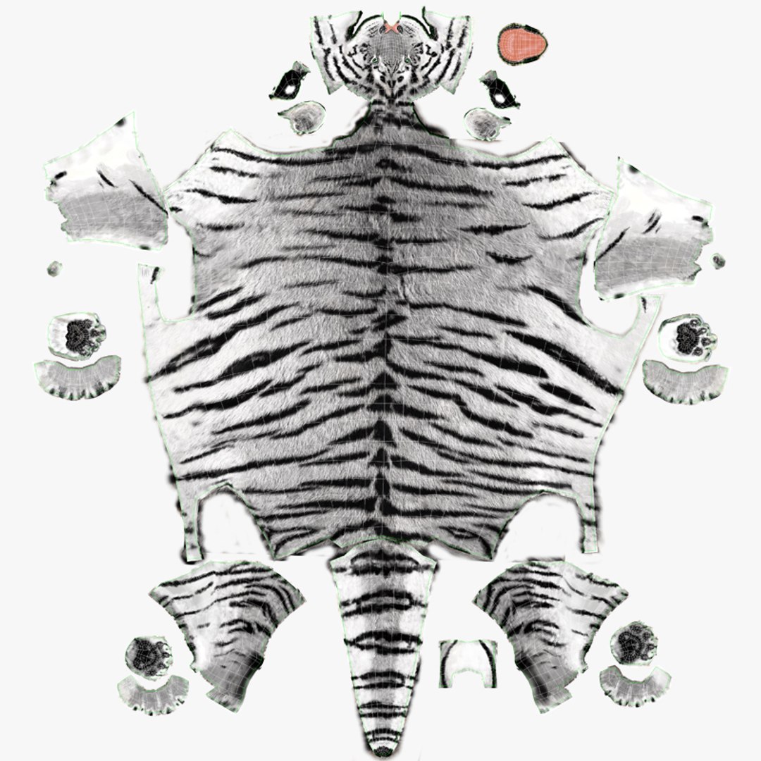 Rigged Siberian White Tiger Body UVs