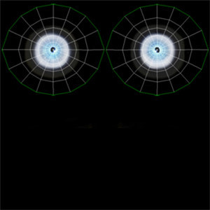 Rigged Siberian White Tiger 3D Model Eyes UVs Thumbnail
