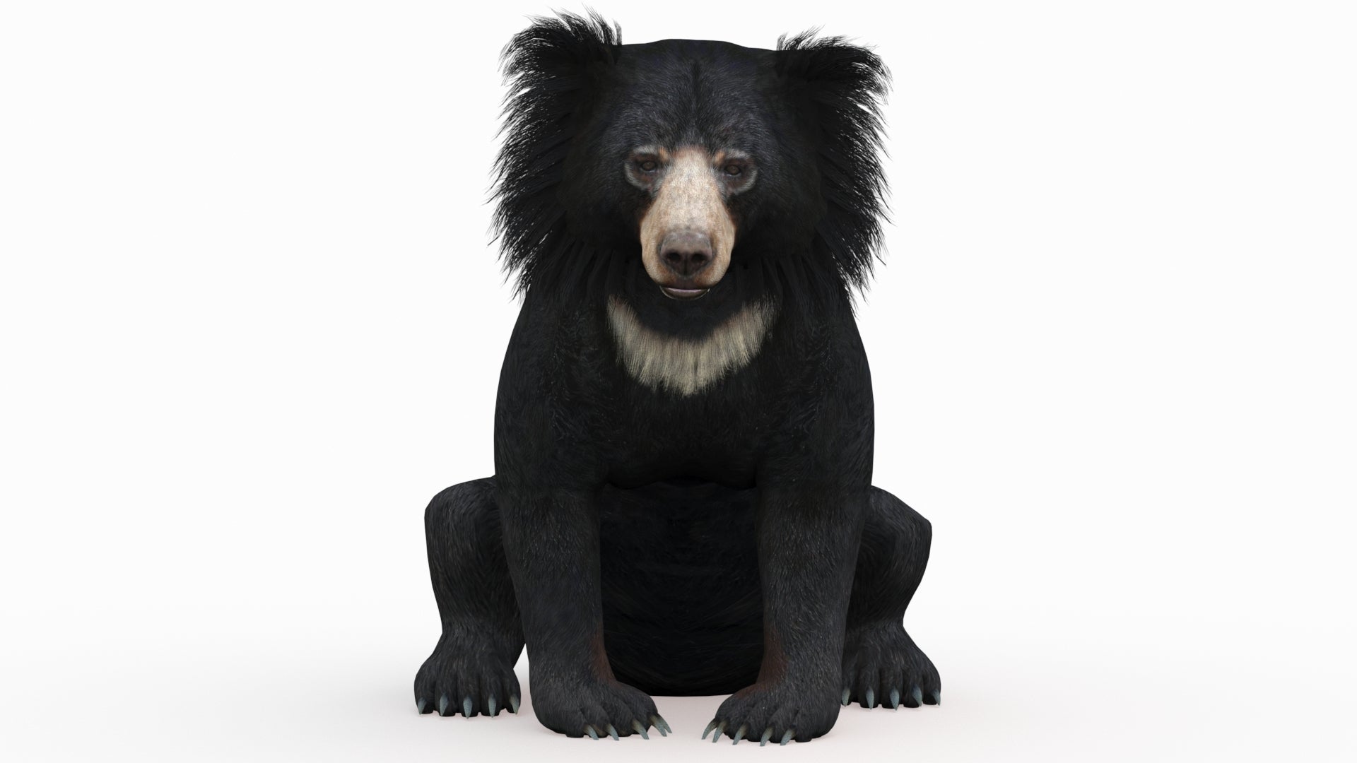 Rigged Sloth Bear 3D Model for Game, AR/VR - Sitting Pose