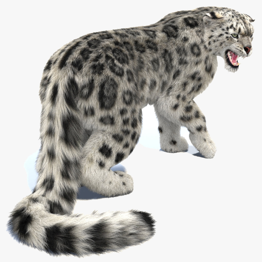 Rigged Snow Leopard 3D Model with Fur