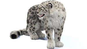 Rigged Snow Leopard 3D Model with Fur Thumbnail